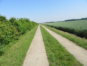 HI IMG_0555 (350x263)